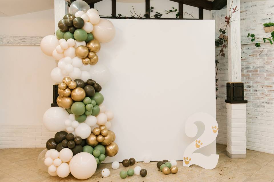 Backdrop for baby's birthday