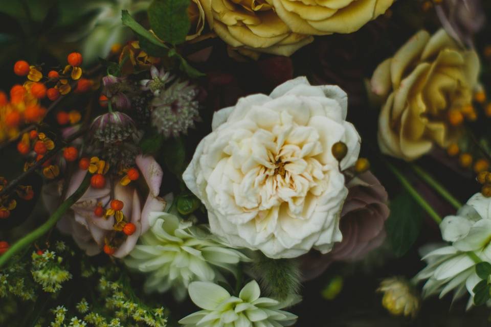 Close up floral shot