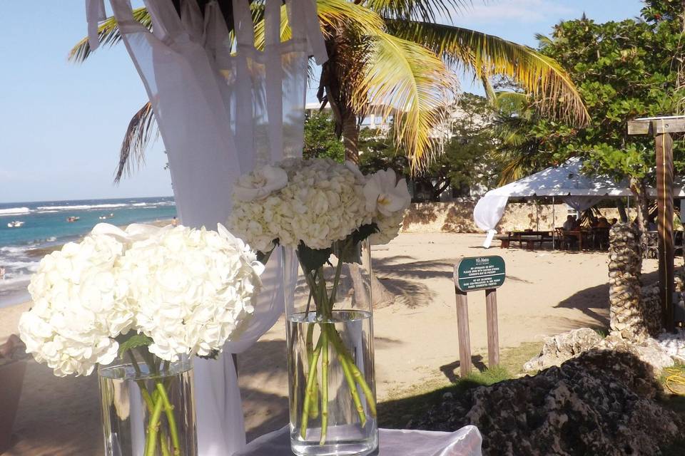 Weddings in Rincon