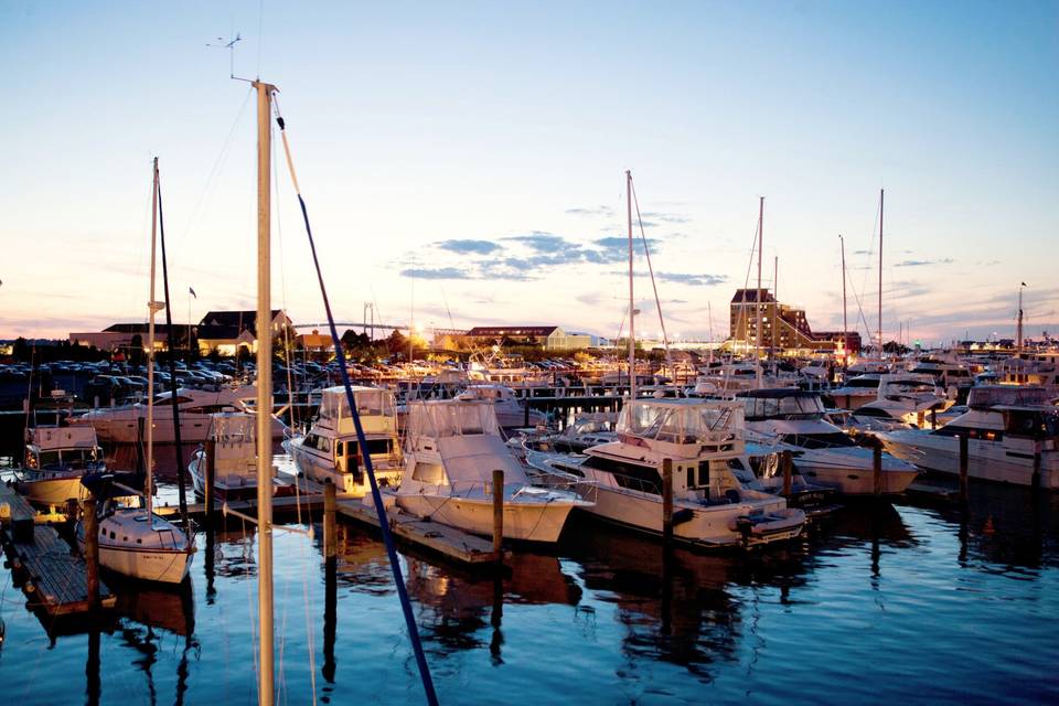 Goat Island Marina