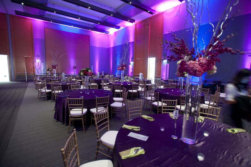 Wedding Reception Lighting, Hampton, Virginia