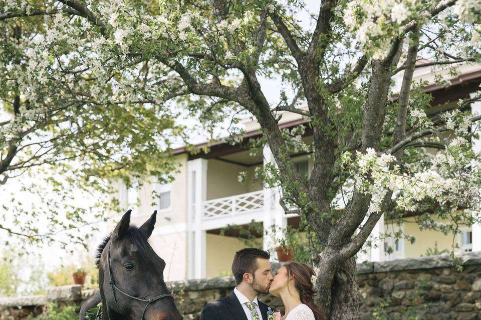 Lovely couple with horse