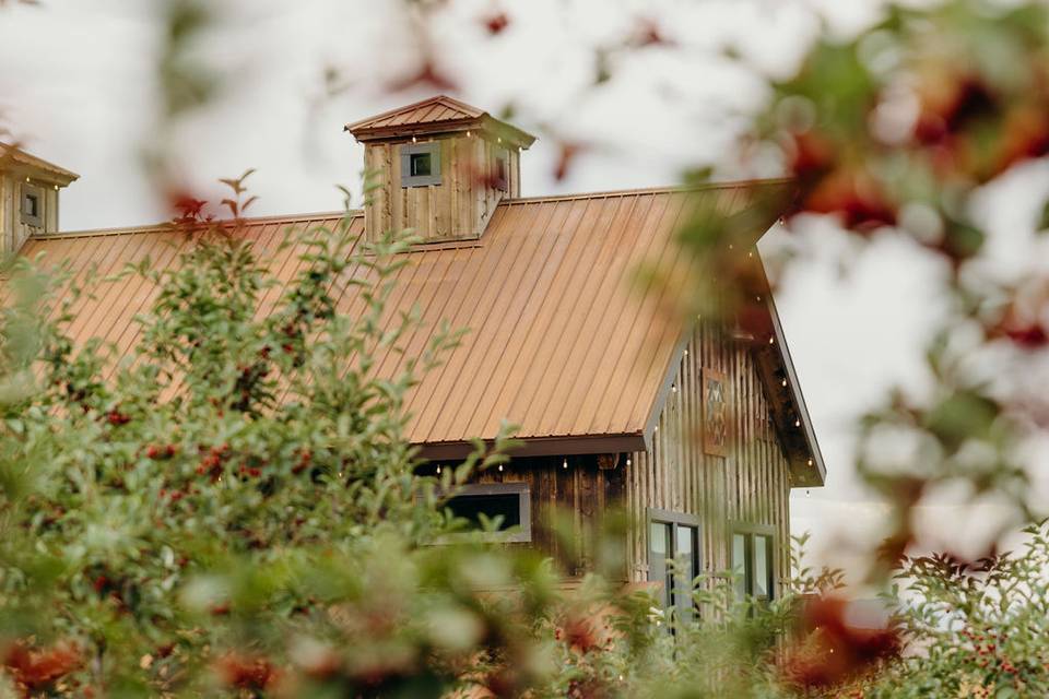 The barn