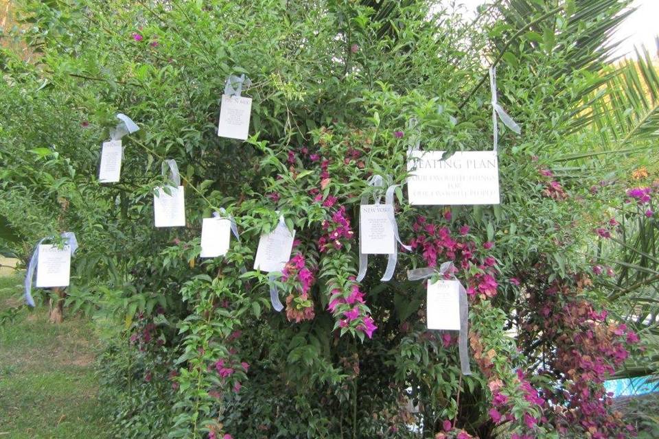 Informal seating cards decorating a tree on the garden