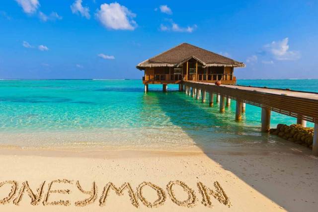 Passionate Vacations