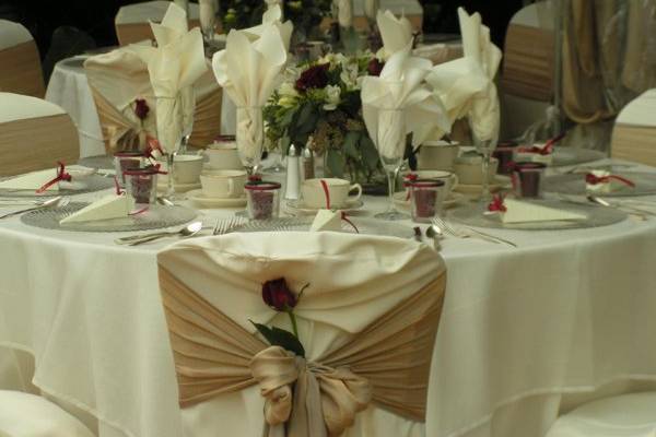 Soft gold bichon chairties and deep burgundy roses accent this beautiful table full of sparkling rental china and glassware