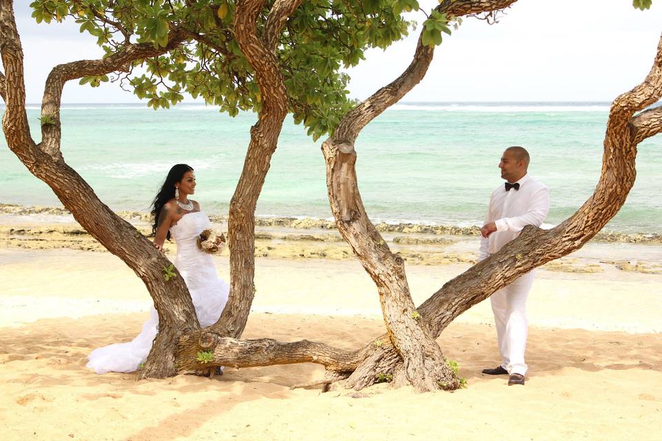 Kauai Hawaii Wedding