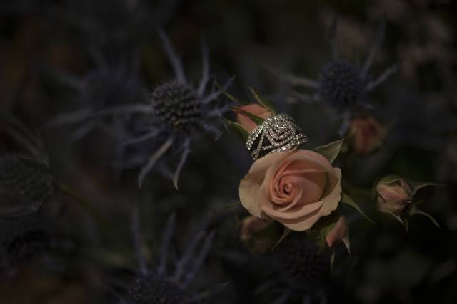 Kirsten Pesa Photography