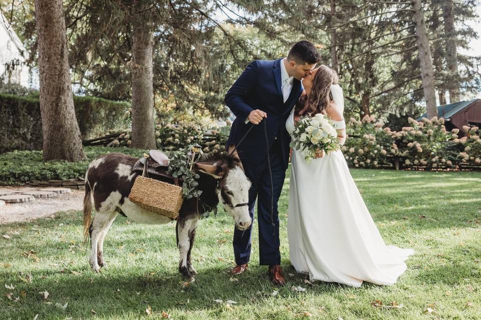 Bridal Party with Shot Donkey