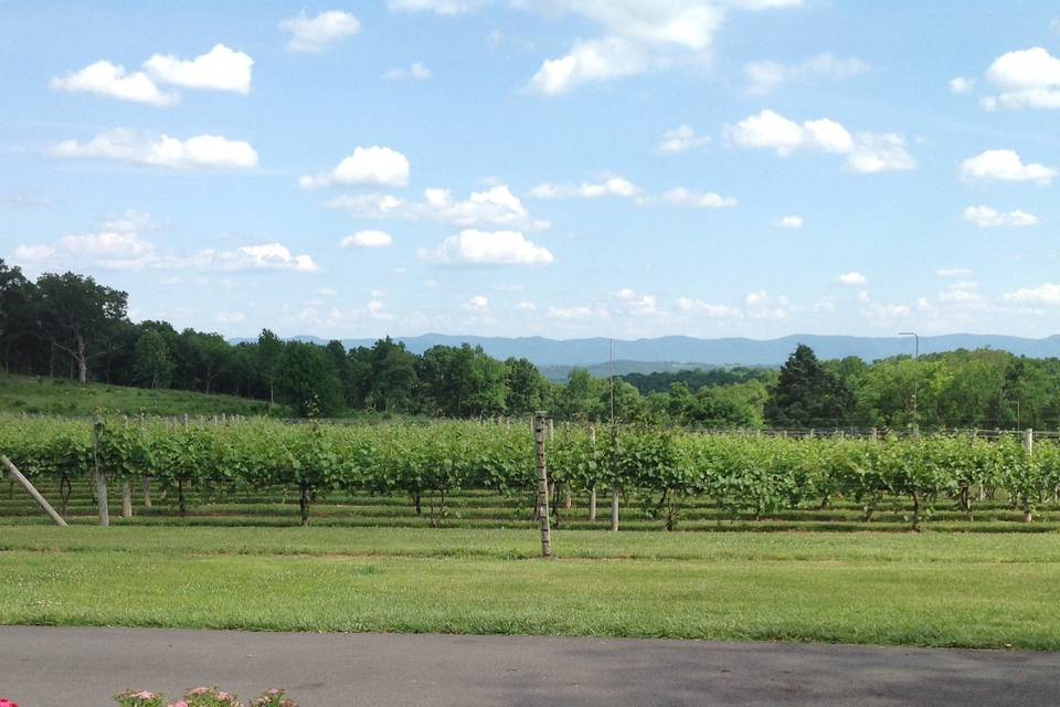 Virginia Mountain Vineyards