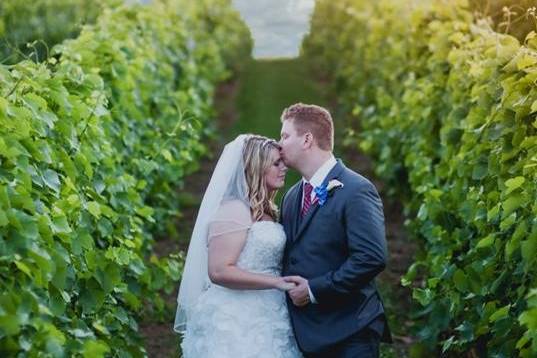 Wedding in the vines
