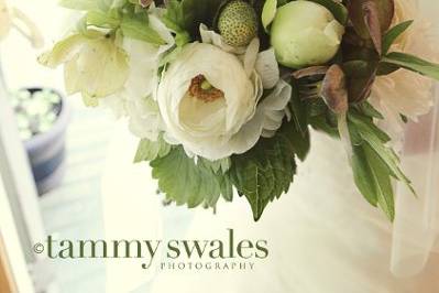 Tammy Swales Photography