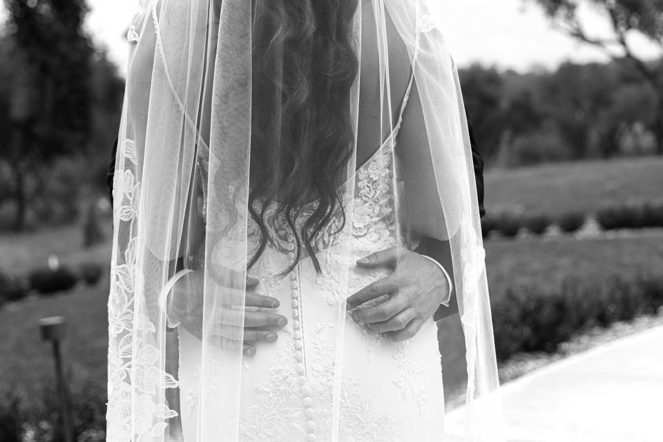 The veil and his hands