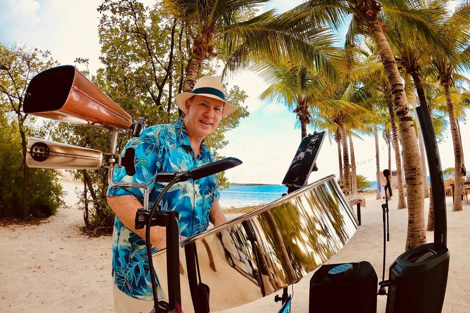 02_Steel_Pan_Palms_Waterfront.jpg