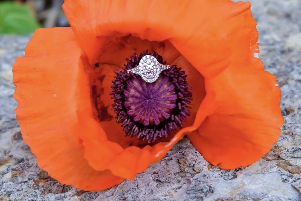 Elite Interactions Weddings an