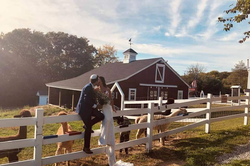 Alpaca barn