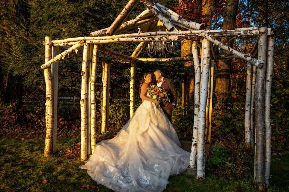 Sunset at the Birch Arbor