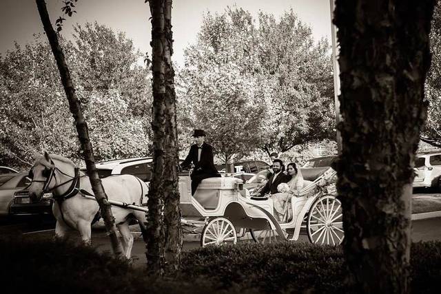 In the carriage