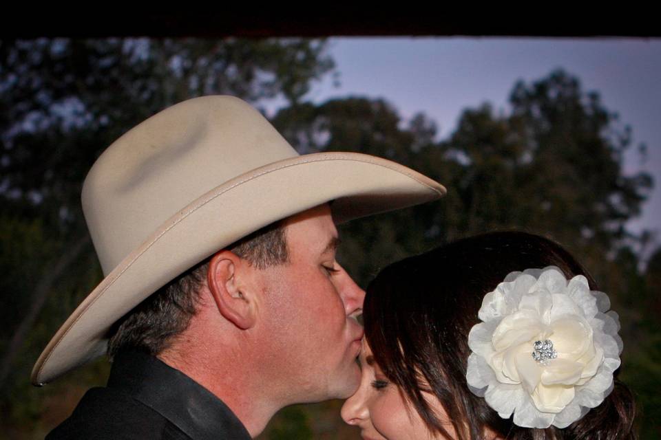 Tawnya Marie Photography