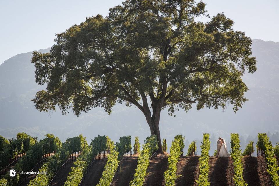 Couple with vineyard backdrop