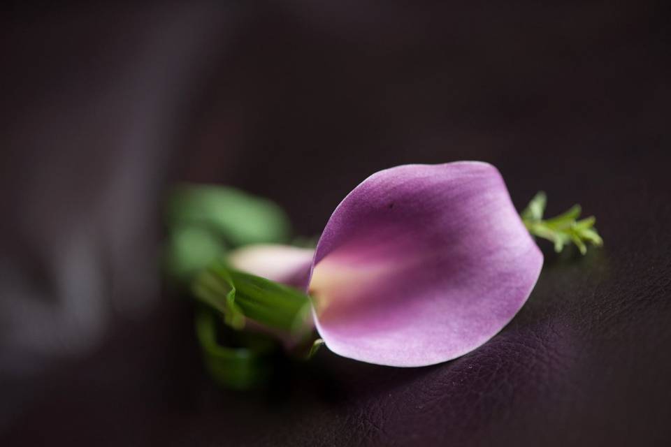 Petr Poliak Photography