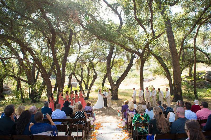 Simple outdoor wedding