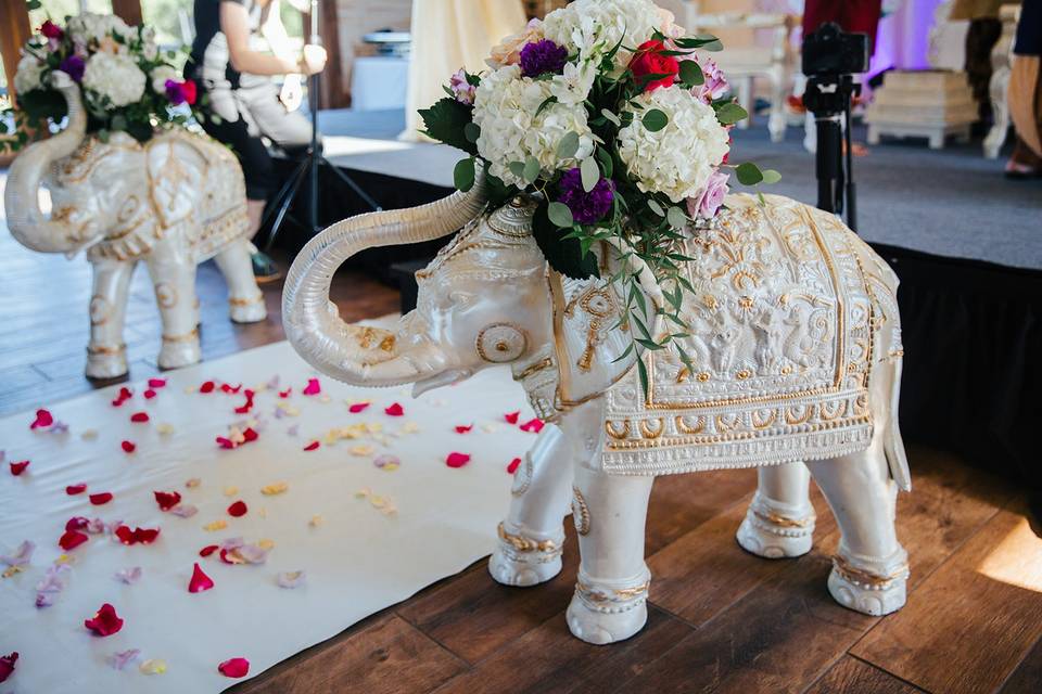 Carolina Wedding Belle