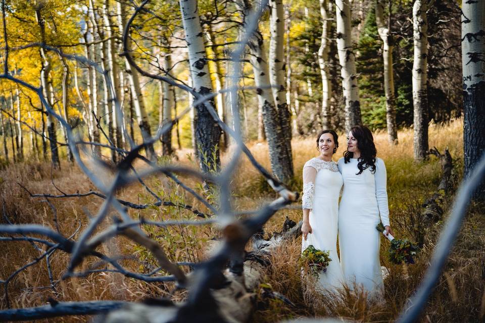 Beautiful Brides in Fall