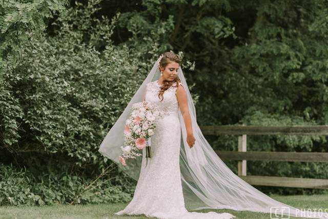 Bride in veil