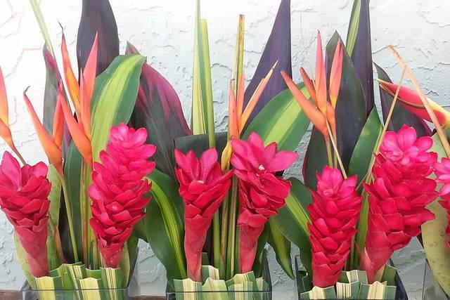 Arlene's Weddings & Event Planning / Floral Designer