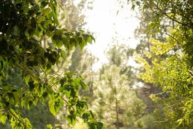 Shannon and Jayme's gorgeous September wedding!Photos compliments of Echo Photography