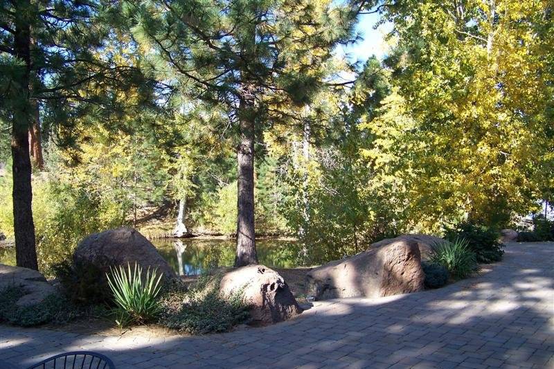 Fall at Rock Springs Ranch is an absolutely magical time as the leaves start to change and cast a beautiful glow on the pond.