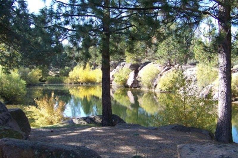 Fall at Rock Springs Ranch is an absolutely magical time as the leaves start to change and cast a beautiful glow on the pond.