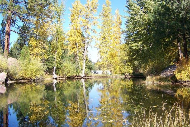 Fall at Rock Springs Ranch is an absolutely magical time as the leaves start to change and cast a beautiful glow on the pond.