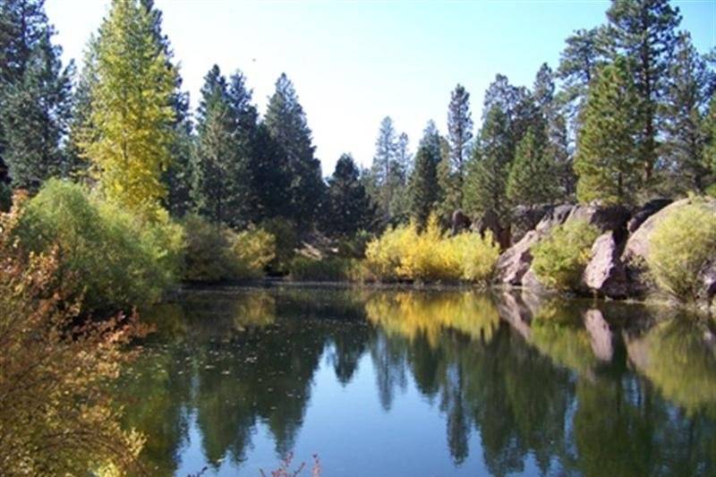 Fall at Rock Springs Ranch is an absolutely magical time as the leaves start to change and cast a beautiful glow on the pond.