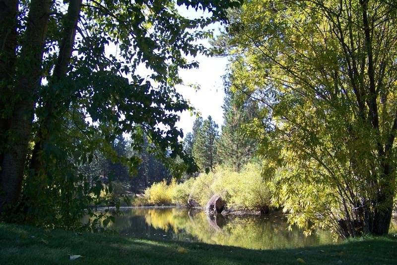 Fall at Rock Springs Ranch is an absolutely magical time as the leaves start to change and cast a beautiful glow on the pond.