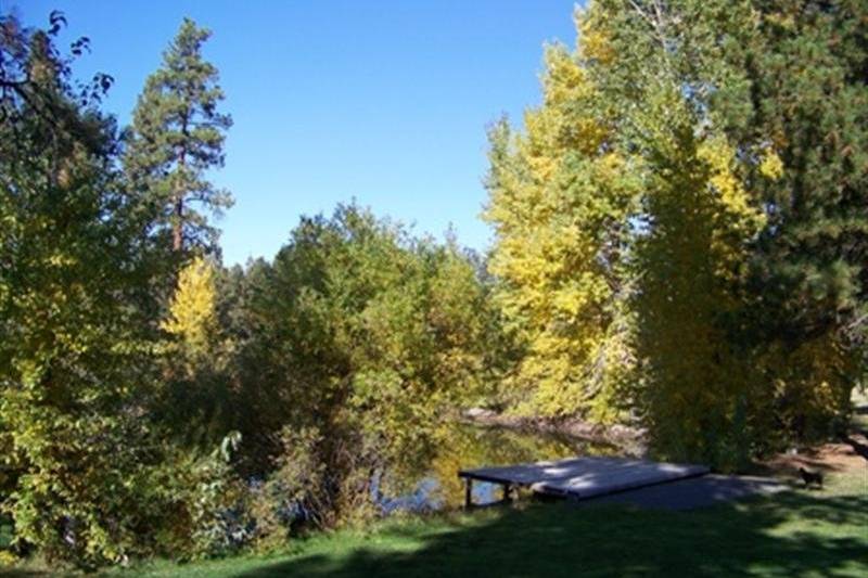 Fall at Rock Springs Ranch is an absolutely magical time as the leaves start to change and cast a beautiful glow on the pond.