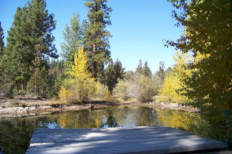 Fall at Rock Springs Ranch is an absolutely magical time as the leaves start to change and cast a beautiful glow on the pond.