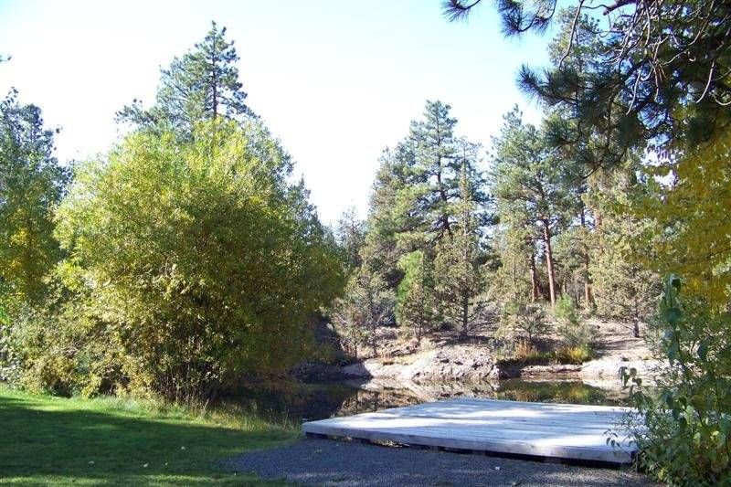 Fall at Rock Springs Ranch is an absolutely magical time as the leaves start to change and cast a beautiful glow on the pond.