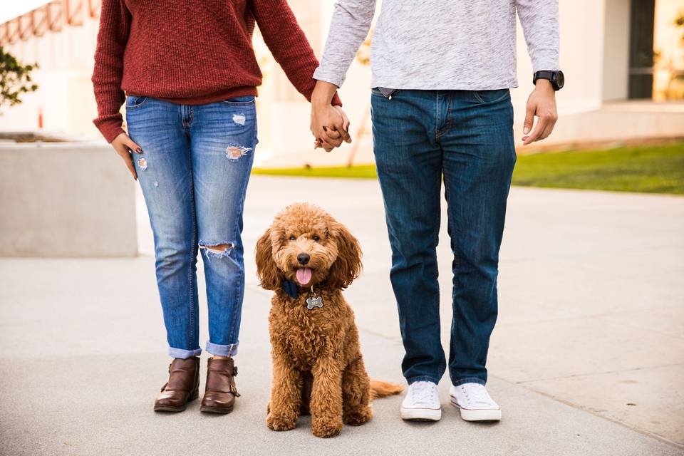 Engagement Session