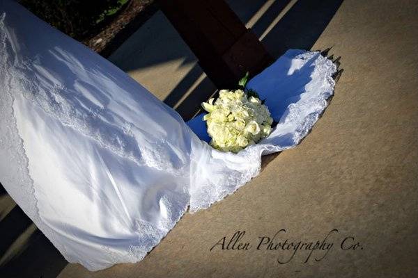 Allen Photography Co.