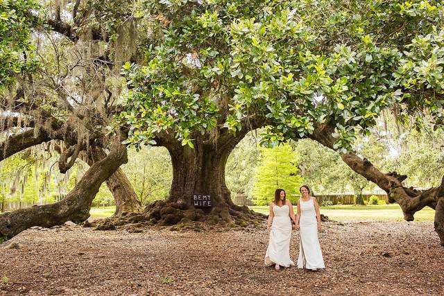 Brides holding hands