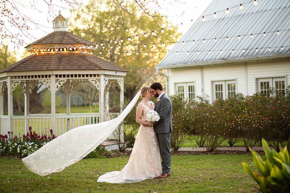 Bride and groom portraits