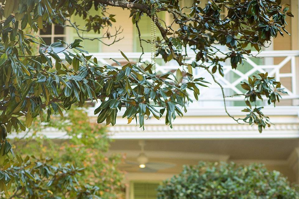 Engaged couple in New Orleans