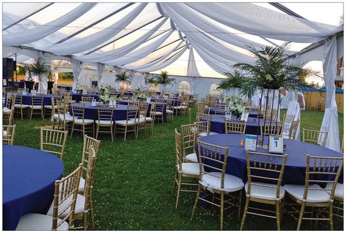 Clear Tent with Draping