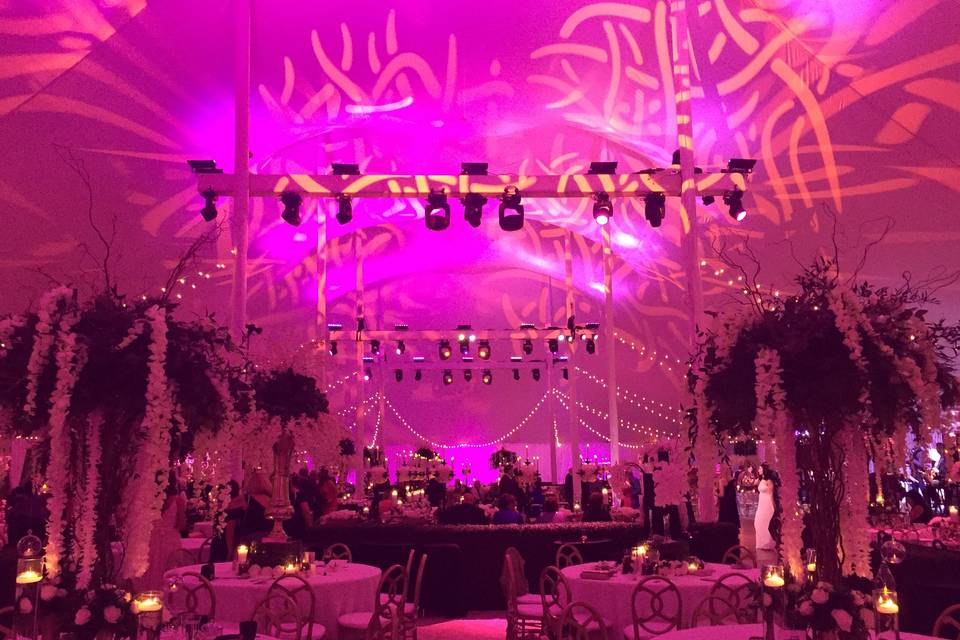 Pink lighting for the reception