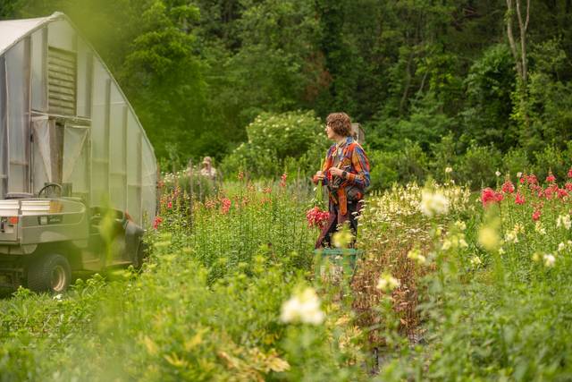 Your florals grown on our farm