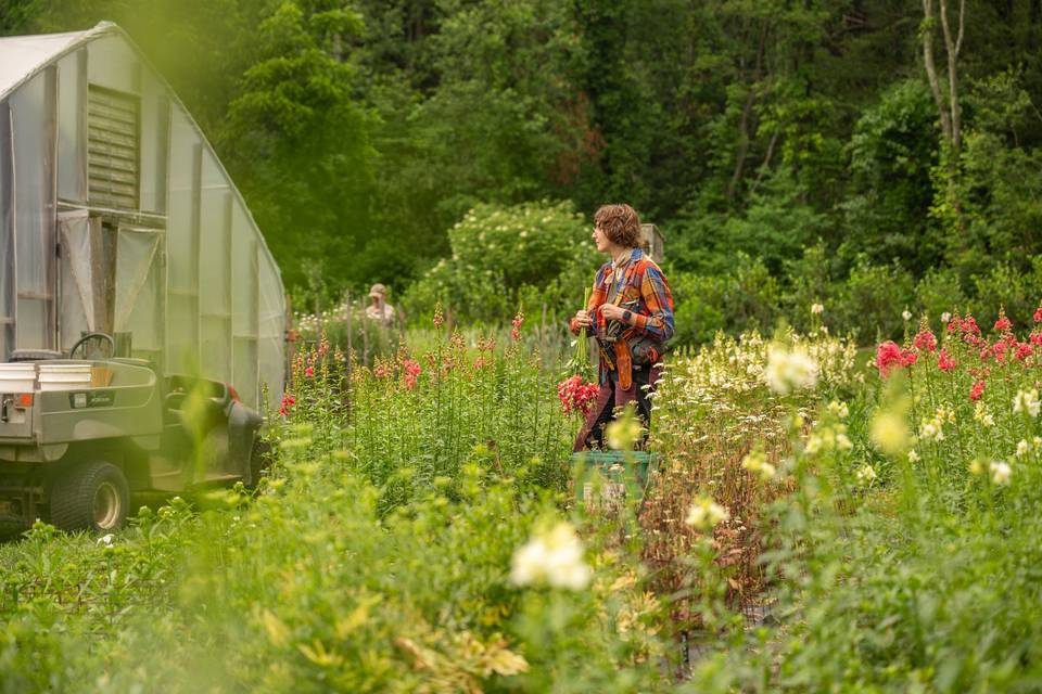 Your florals grown on our farm