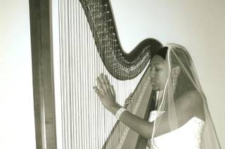 Harpist at Your Service