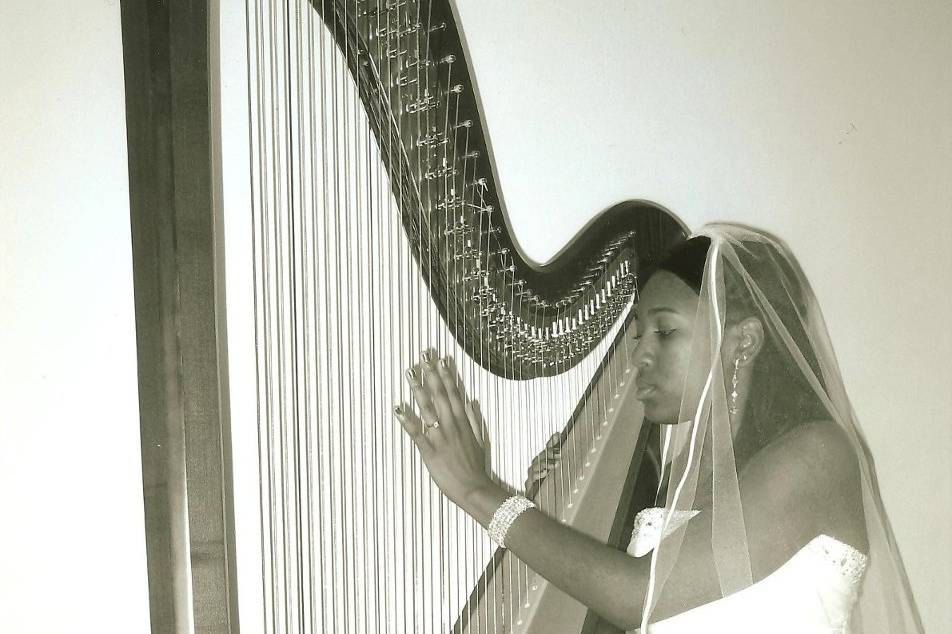 Harpist at Your Service